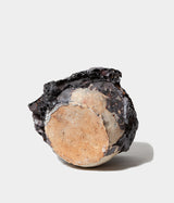 Kentaku Yamamoto "KUCHA"