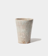 Hiromu Kinjyo "Kohiki Cup"