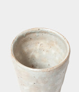 Hiromu Kinjyo "Kohiki Cup"