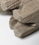 佐藤憲治 "這い熊 神代木"