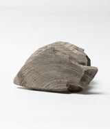 Kenji Sato "Sitting Bear, God Tree"