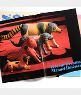 OAXACA WOOD CARVING "Dream Dreams Manuel Jiménez : A Brief History of Oaxacan Wood Carving"