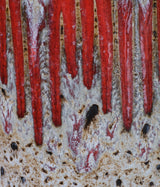 FAT LAVA "Scheurich Lora Vintage Germany Pottery Vase 258"