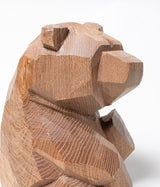 Kenji Sato "Sitting Bear, Sophora japonica L."