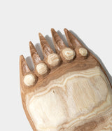 Kenji Sato "Bear's Paw, Sophora japonica L."