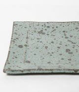 Akihiro Kinjo "Ash Glazed Plate"