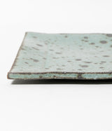Akihiro Kinjo "Ash Glazed Plate"