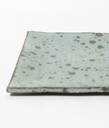 Akihiro Kinjo "Ash Glazed Plate"