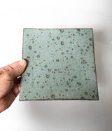 Akihiro Kinjo "Ash Glazed Plate"
