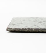 Akihiro Kinjo "Ash Glazed Plate"