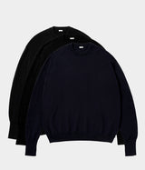 A.PRESSE 2026 Style2 "Wool Knit Crew Neck Sweater"