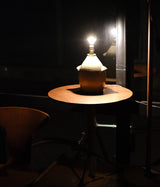 SOUTH MADE "SM-OP-01TL" Penguin-shaped table lamp