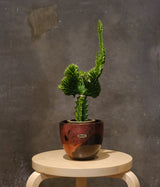 FAT LAVA "Otto Keramik  Vintage Germany Pottery Vase 205"