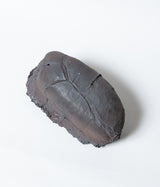 Noritaka Yamamoto "KUCHA"