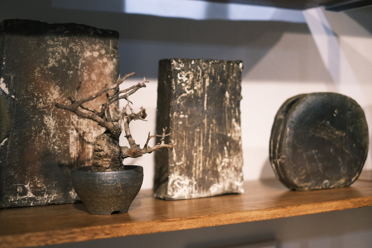 Exhibition】佐藤憲治 木彫り熊展 – SOUTH STORE