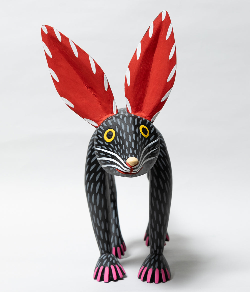 20240831_54_1000x.jpg?v=1725088171