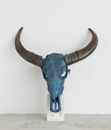 SOUTH MADE "SM-RI-03" Buffalo Skull