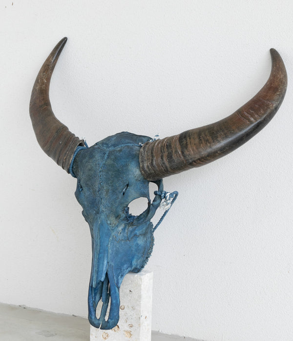 SOUTH MADE "SM-RI-03" Buffalo Skull