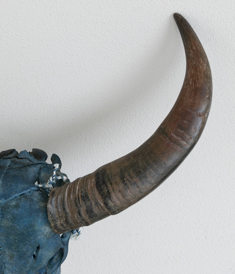 SOUTH MADE "SM-RI-03" Buffalo Skull