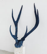 SOUTH MADE "SM-RI-01" Deer Horn