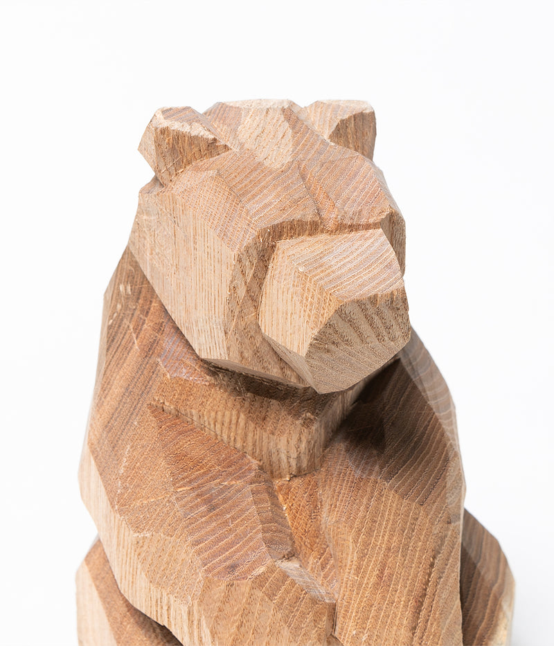 Kenji Sato "Sitting Bear, Sophora japonica  L."