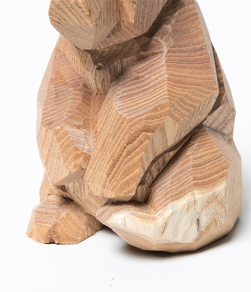 Kenji Sato "Sitting Bear, Sophora japonica  L."