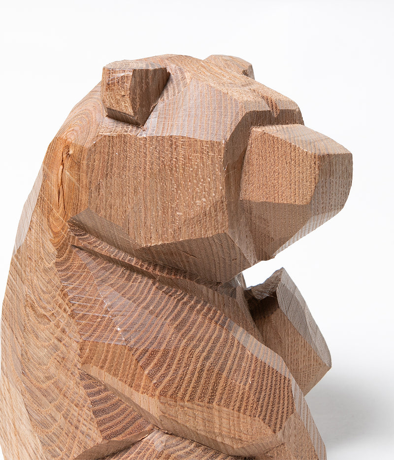 Kenji Sato "Sitting Bear, Sophora japonica  L."