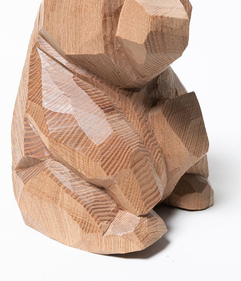 Kenji Sato "Sitting Bear, Sophora japonica  L."