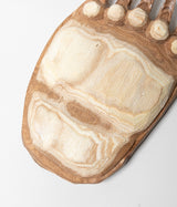 Kenji Sato "Bear's Paw, Sophora japonica L."