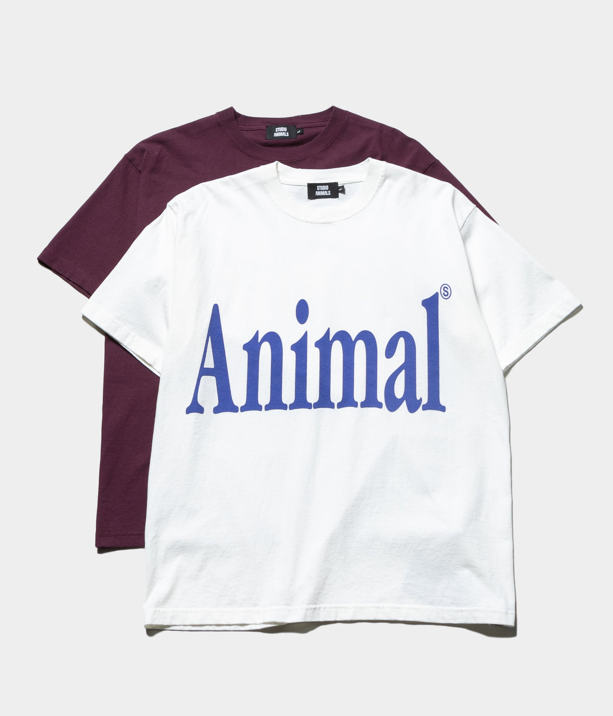 STUDIO ANIMALS – SOUTH STORE
