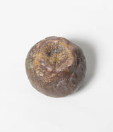 須藤 祥太郎 "過跡カップ"