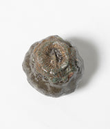 須藤 祥太郎 "過跡カップ"