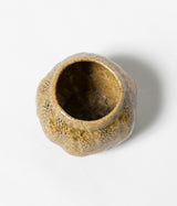 須藤 祥太郎 "過跡カップ"