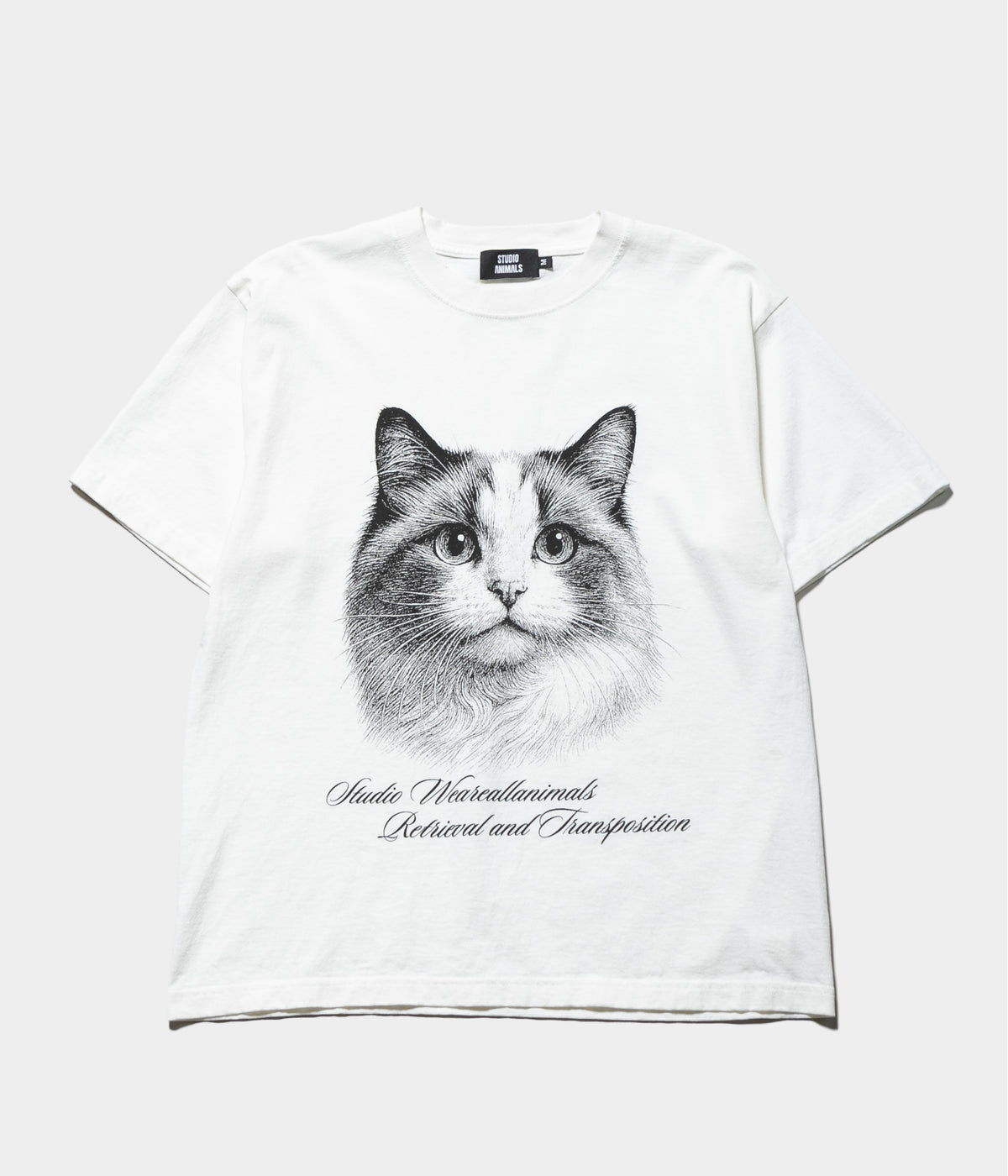 STUDIO ANIMALS – SOUTH STORE