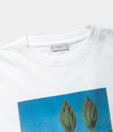 STUDIO ANIMALS "Animals Sport Cap"