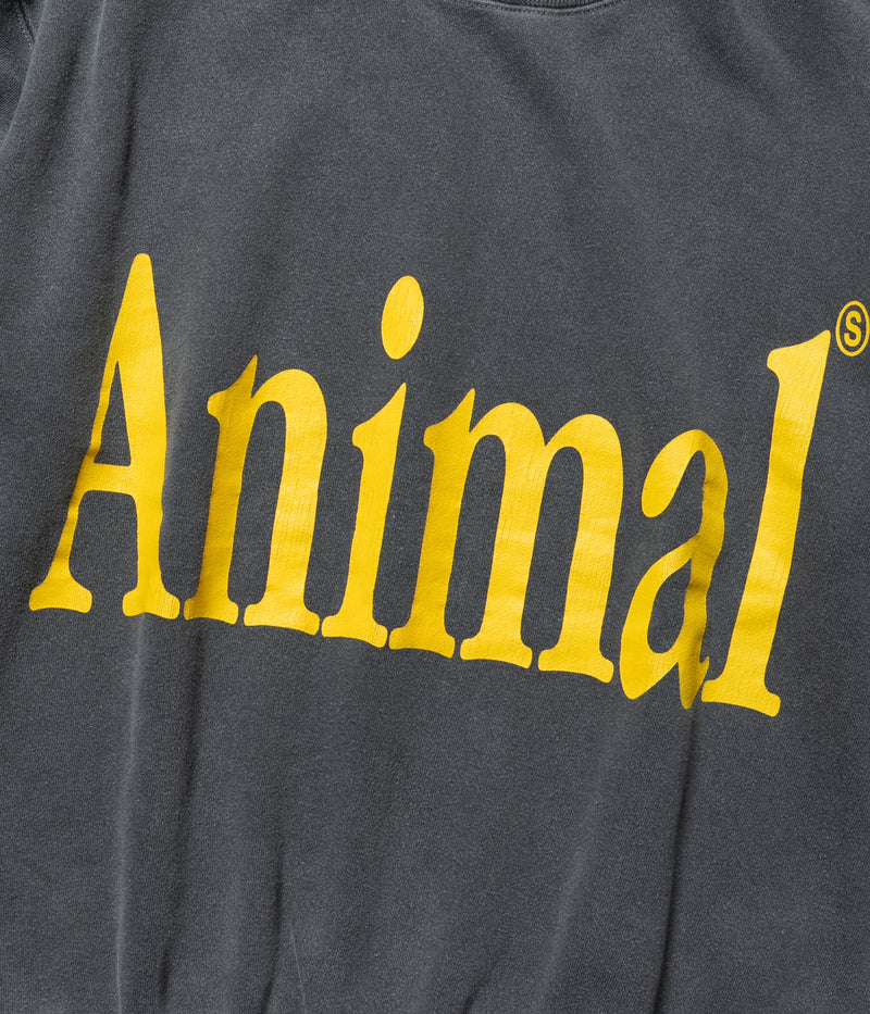STUDIO ANIMALS 