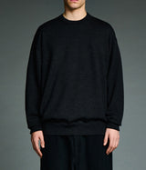 A.PRESSE 2026 Style2 "Wool Knit Crew Neck Sweater"