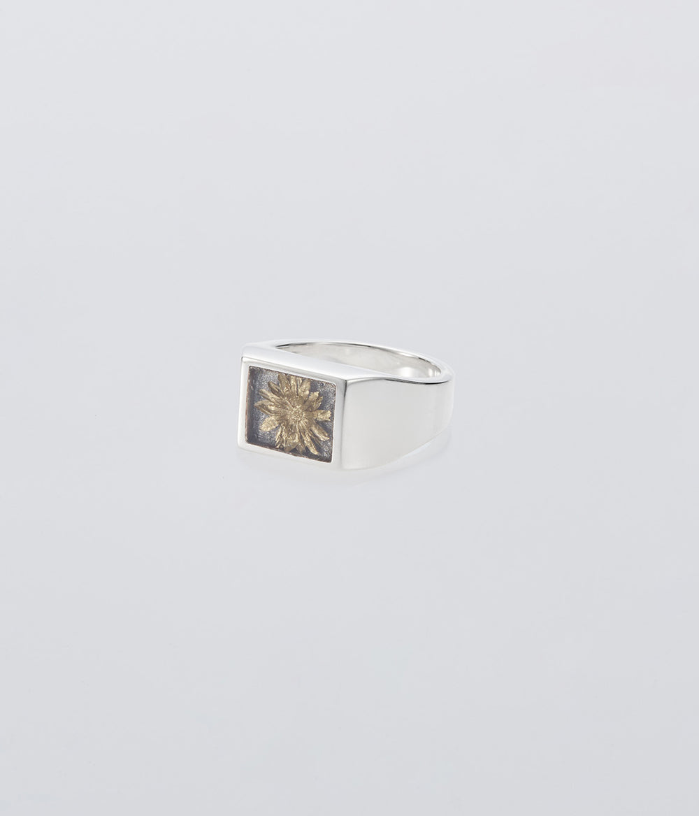 XOLO JEWELRY 